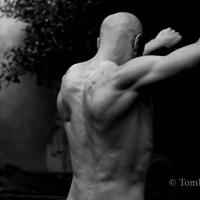 Borrego - Aurélien Houette